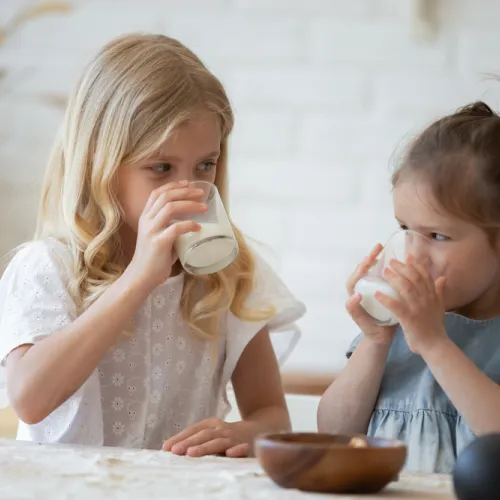 ¡Descubre más cosas sobre los alimentos!